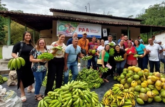 A ação faz parte do Governo Federal e é executada pelo Governo de Pernambuco/Foto: Divulgação/IPA