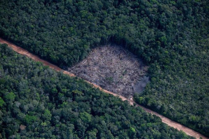 Destruição dentro de Terras Indígenas e Unidades de Conservação, em grande parte das vezes, ocorre por invasões legais, diz levantamento do Imazon/foto: Christian Braga/Greenpeace Destruição dentro de Terras Indígenas e Unidades de Conservação, em grande parte das vezes, ocorre por invasões legais, diz levantamento do Imazon/foto: Christian Braga/Greenpeace