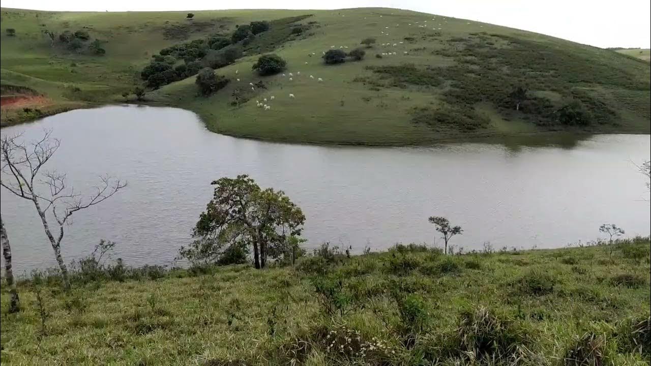 O fato aconteceu na barragem do Sítio Santa Cruz, em Panelas, no Agreste do Estado/Foto: Reprodução/Redes Sociais O fato aconteceu na barragem do Sítio Santa Cruz, em Panelas, no Agreste do Estado/Foto: Reprodução/Redes Sociais