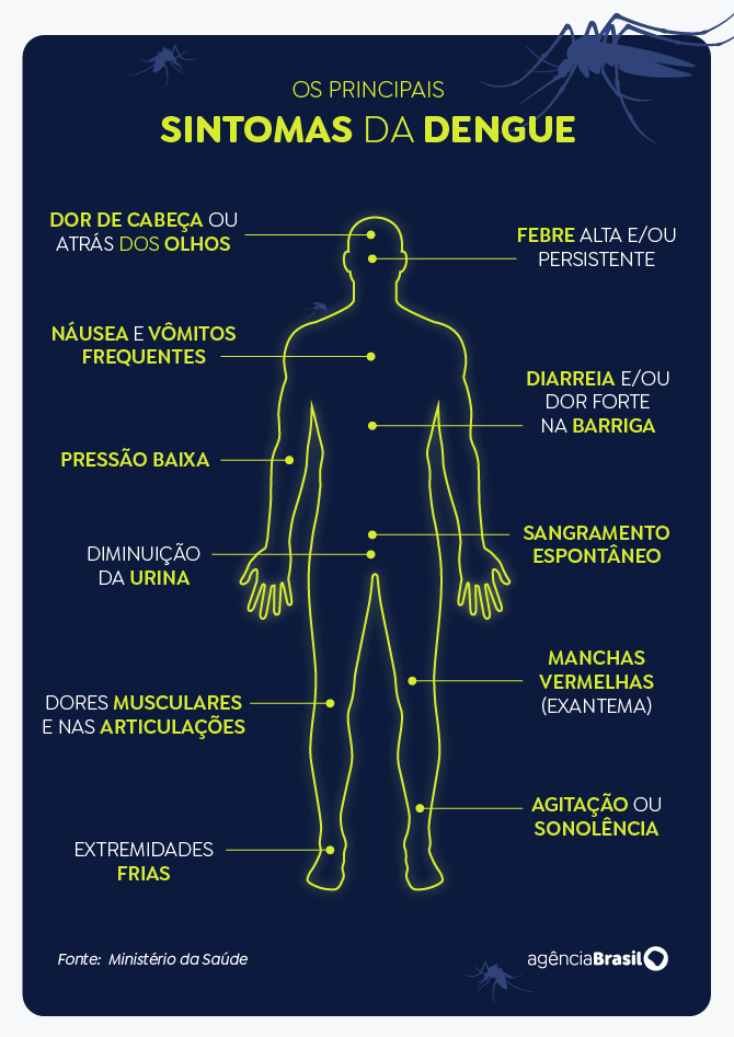 Principais sintomas da dengue.