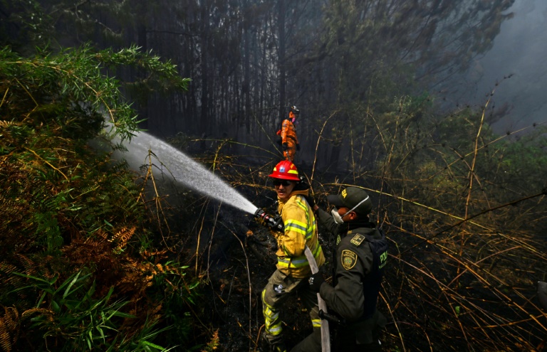 Estados Unidos, Chile, Peru e Canadá já responderam positivamente aos apelos da Colômbia para conter as chamas/foto: AFP Estados Unidos, Chile, Peru e Canadá já responderam positivamente aos apelos da Colômbia para conter as chamas/foto: AFP