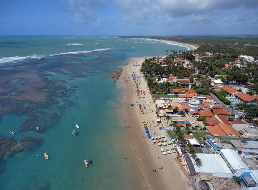 Além de causar mal-estar nas pessoas, as toxinas emitidas pelas algas são capazes de contaminar os peixes, moluscos e crustáceos/Foto: Vinicius Lubambo Além de causar mal-estar nas pessoas, as toxinas emitidas pelas algas são capazes de contaminar os peixes, moluscos e crustáceos/Foto: Vinicius Lubambo