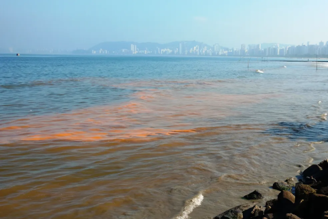Um trecho da praia de Carro Quebrado foi interditado a fim de evitar a circulação de pessoas/foto: Gisela Bello/Arquivo Pessoal Um trecho da praia de Carro Quebrado foi interditado a fim de evitar a circulação de pessoas/foto: Gisela Bello/Arquivo Pessoal
