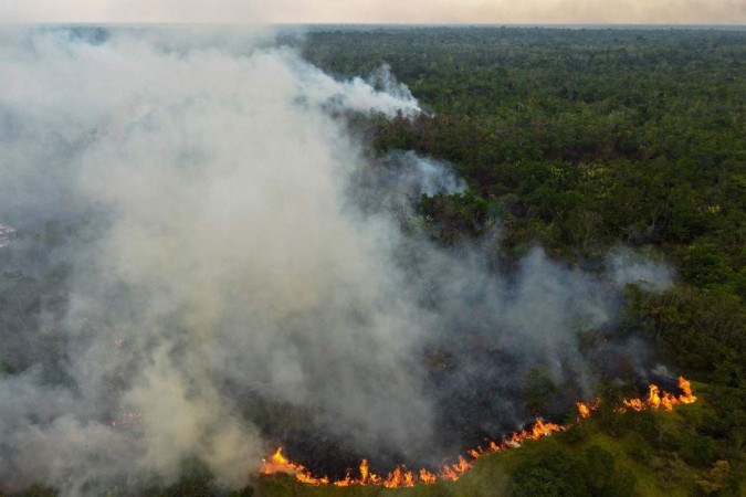 Estudo estima que entre 10% e 47% da floresta amazônica estarão expostos a ameaças graves até 2050/foto: AFP Estudo estima que entre 10% e 47% da floresta amazônica estarão expostos a ameaças graves até 2050/foto: AFP