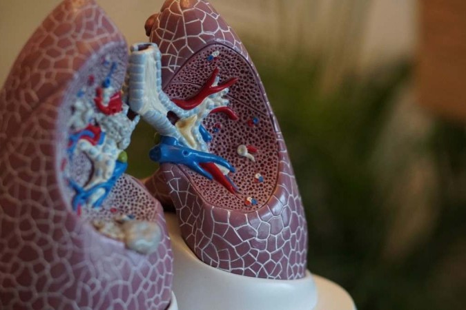 Pneumonite é uma inflamação dos tecidos pulmonares, entre elas estão: alergias, exposição a certos produtos químicos e outros/foto: Unsplash/ Robina Weermeijer Pneumonite é uma inflamação dos tecidos pulmonares, entre elas estão: alergias, exposição a certos produtos químicos e outros/foto: Unsplash/ Robina Weermeijer