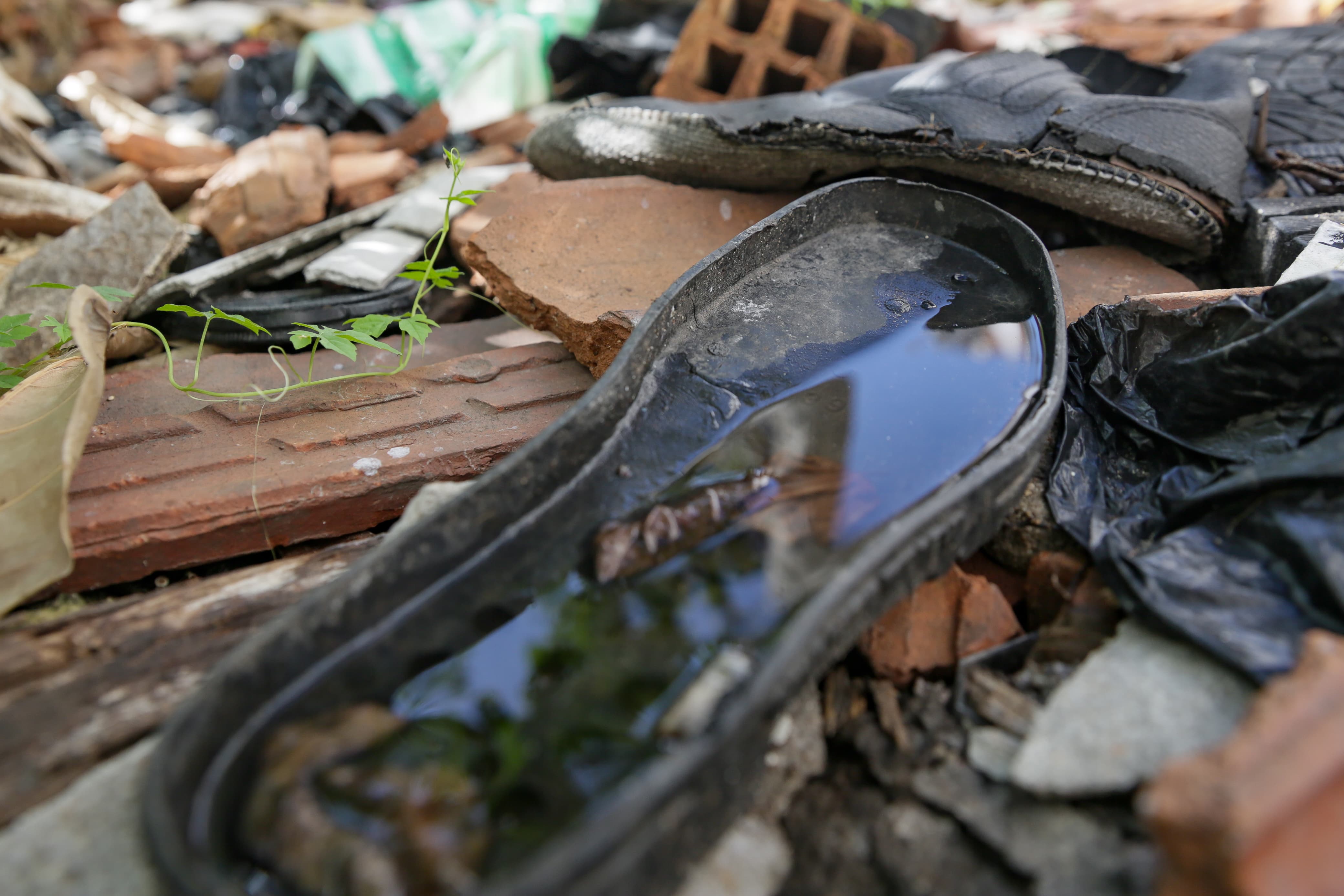 Água parada vira foco de dengue até em resto de calçado/Foto: Rafael Vieira/DP Água parada vira foco de dengue até em resto de calçado/Foto: Rafael Vieira/DP