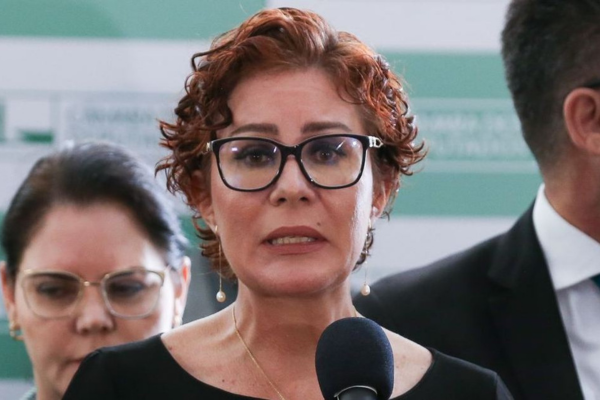 Além da ação criminosa contra o site do CNJ, a PF também apura a invasão de sistemas de tribunais regionais de Justiça/Crédito: Luia Marques / EBC