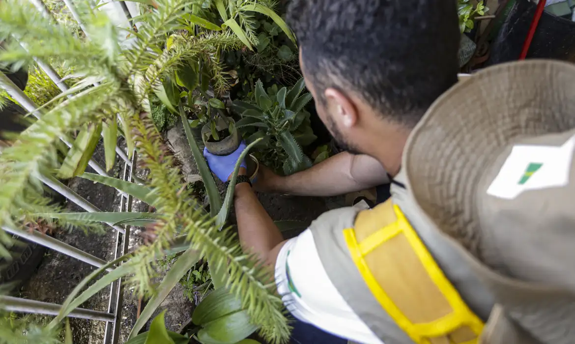 Ação tem a participação maciça de agentes de saúde, ministros, governadores, prefeitos e secretários para serem porta-vozes no combate ao mosquito Aedes aegypti/Foto: Marcelo Camargo/Agência Brasil Ação tem a participação maciça de agentes de saúde, ministros, governadores, prefeitos e secretários para serem porta-vozes no combate ao mosquito Aedes aegypti/Foto: Marcelo Camargo/Agência Brasil