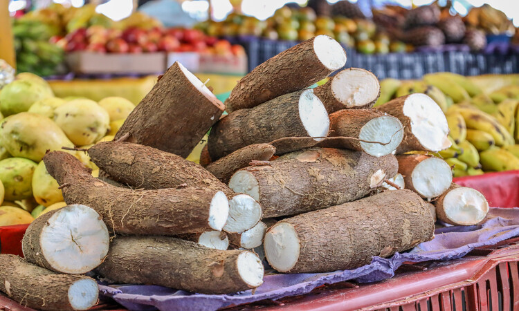 Um dos objetivos da feira é aproximar os consumidores da cidade à produção agroecológica/Foto: Arquivo/DP Um dos objetivos da feira é aproximar os consumidores da cidade à produção agroecológica/Foto: Arquivo/DP