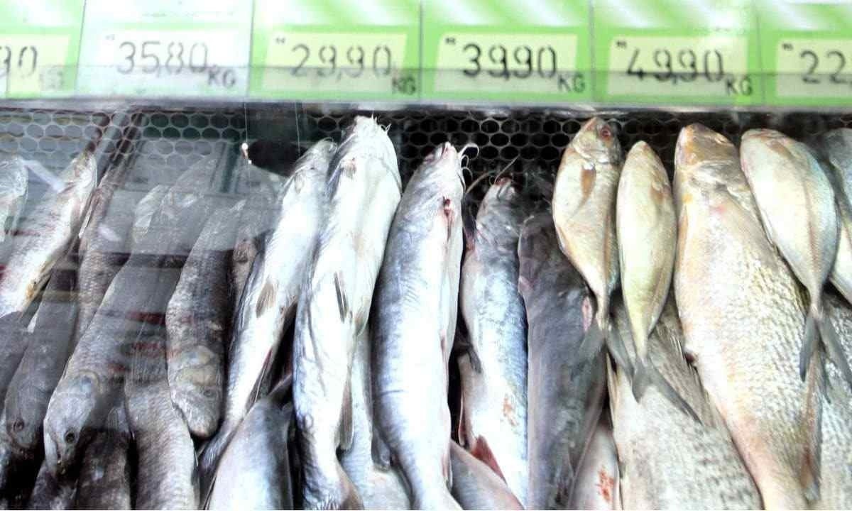 Ao comprar o peixe, o consumidor deve observar com cuidado a validade dos produtos e a integridade das embalagens/foto: Jair Amaral/EM/D.A Press