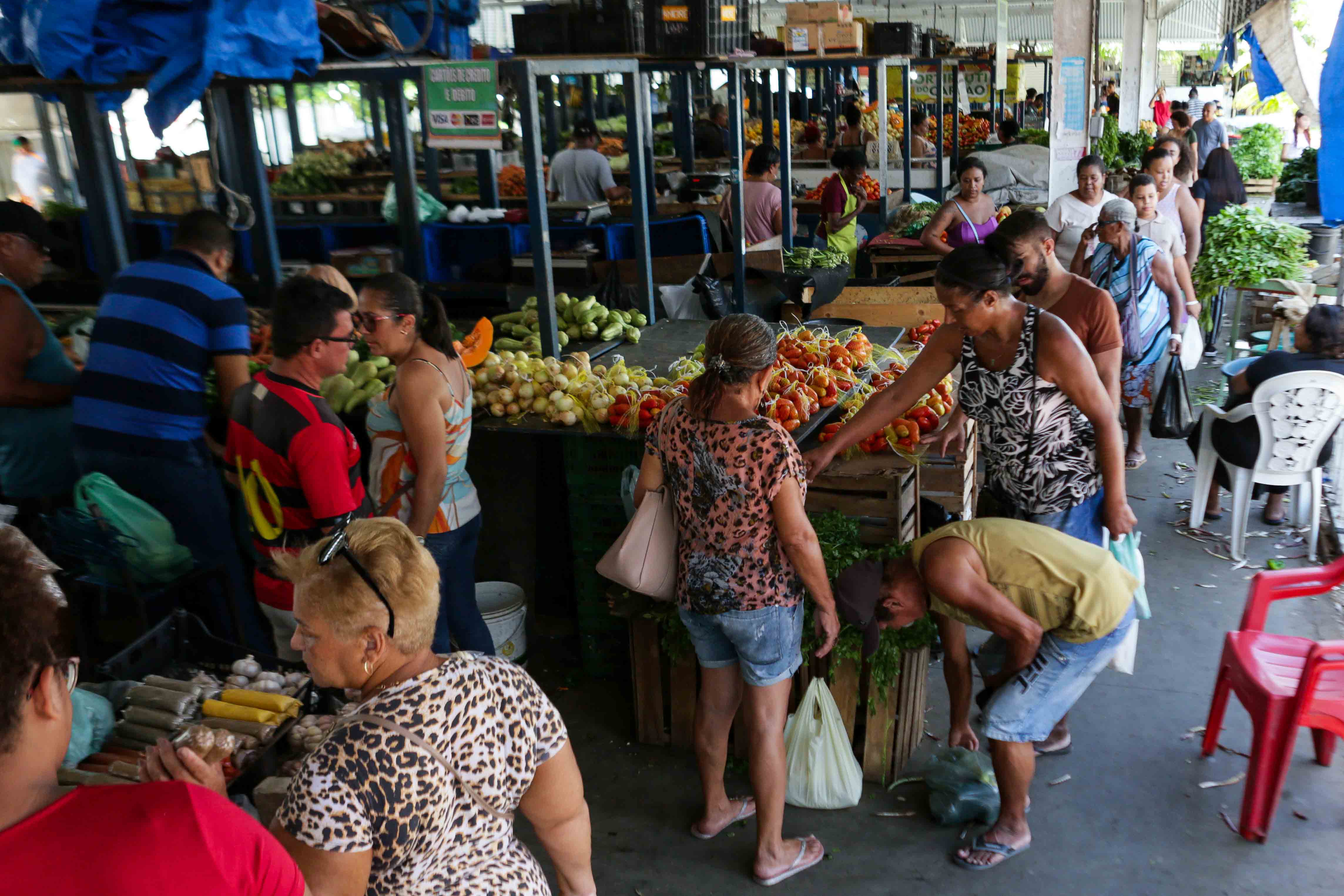 O aumento dos preços dos alimentos, principalmente das frutas e hortaliça é reflexo de fatores como a entressafra da grande maioria dos hortifrutis, que ocorre no primeiro semestre do ano/Foto: Rafael Viera /DP