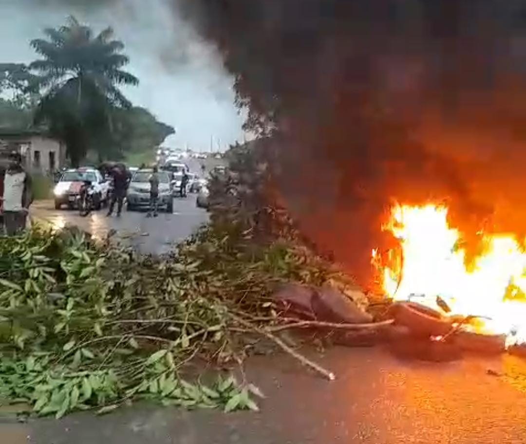 De acordo com os moradores, o protesto teve início às 13h e só será finalizado com a chegada da energia elétrica/Foto: Cortesia
