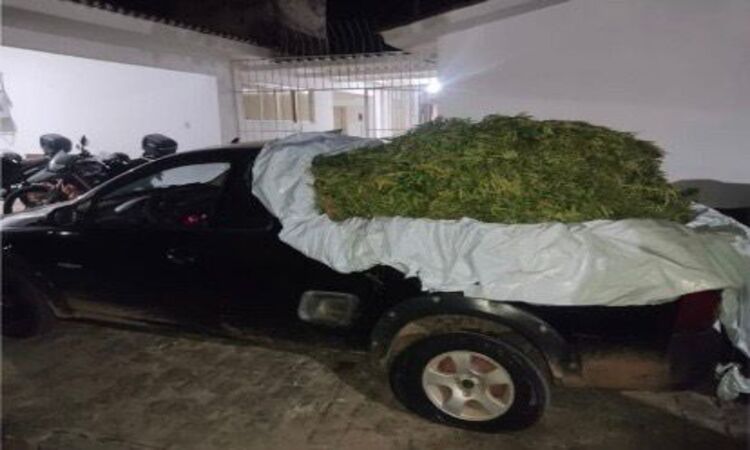 Durante o patrulhamento, o efetivo visualizou dois veículos suspeitos com uma carga coberta por uma lona/Foto: Divulgação/PMPE Durante o patrulhamento, o efetivo visualizou dois veículos suspeitos com uma carga coberta por uma lona/Foto: Divulgação/PMPE