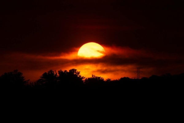 Março de 2024 continua a sequência de queda de recordes climáticos/crédito: Vincent Corriveau/Unsplash Março de 2024 continua a sequência de queda de recordes climáticos/crédito: Vincent Corriveau/Unsplash