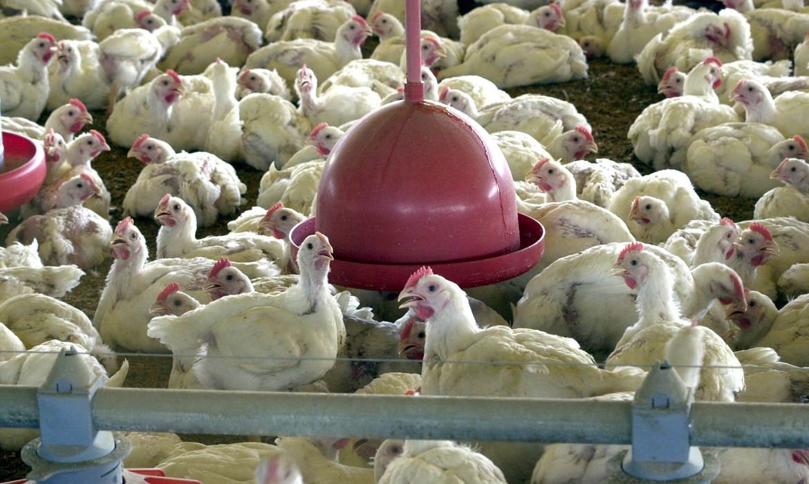 /Foto: Arquivo/Agência Brasil