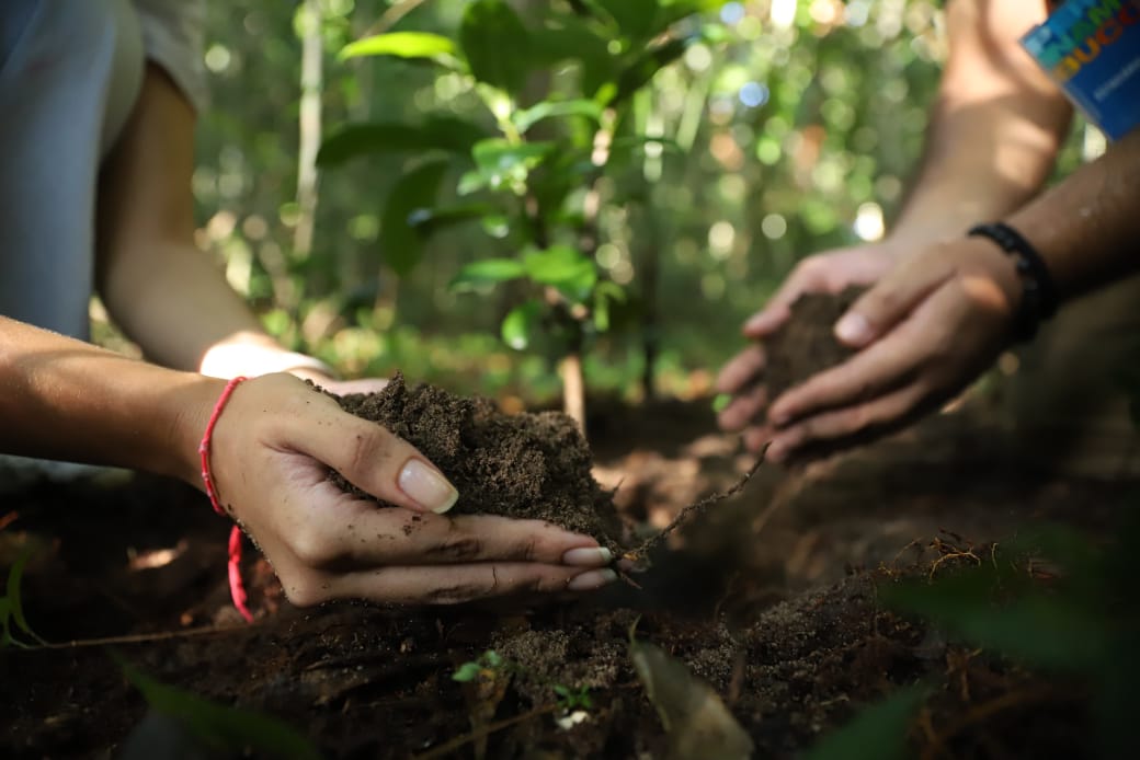 A inscrição para o Selo Empresa Verde pode ser feita por meio do site da Junta Comercial de Pernambuco (Jucepe) até o dia 30 de abril/Foto: Tarciso Augusto/GCom SemasPE A inscrição para o Selo Empresa Verde pode ser feita por meio do site da Junta Comercial de Pernambuco (Jucepe) até o dia 30 de abril/Foto: Tarciso Augusto/GCom SemasPE