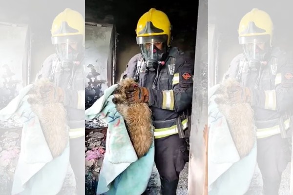 As causas do incêndio ainda vão ser investigadas/Foto: Reprodução