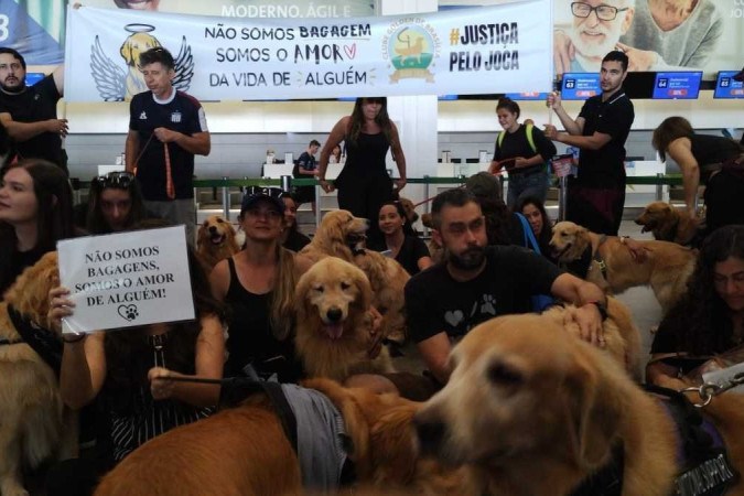 Protesto contra morte dp cão Joca, no aeroporto de Brasília/Foto: Marcelo Ferreira/CB/D.A Press Protesto contra morte dp cão Joca, no aeroporto de Brasília/Foto: Marcelo Ferreira/CB/D.A Press