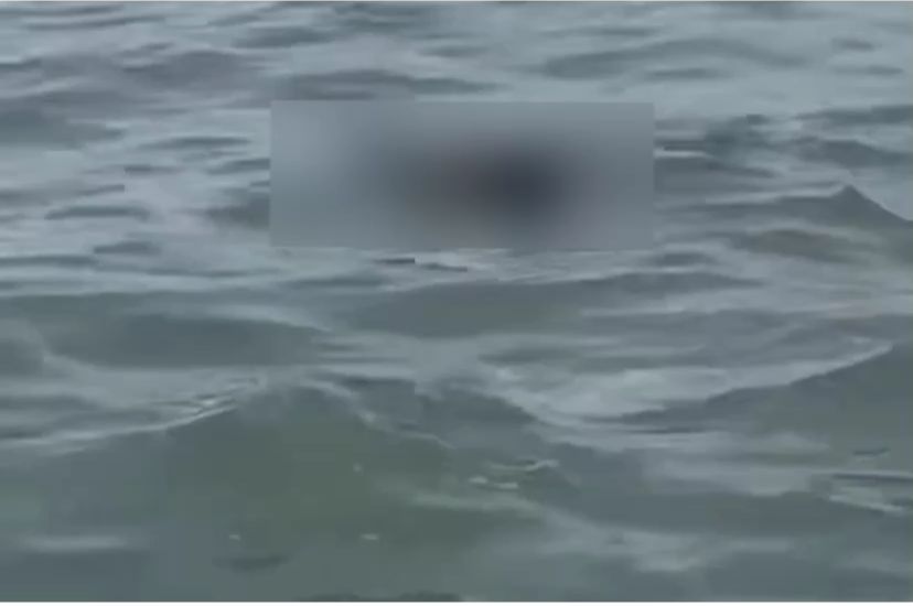 Imagens que circulam nas redes sociais mostram o momento em que o corpo é identificado boiando em alto mar, na Praia de Boa Viagem/Foto: Reprodução/Redes Sociais Imagens que circulam nas redes sociais mostram o momento em que o corpo é identificado boiando em alto mar, na Praia de Boa Viagem/Foto: Reprodução/Redes Sociais