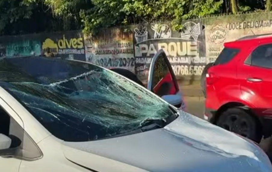 Carro ficou danificado ao bater em cavalo/Foto: Redes Sociais Carro ficou danificado ao bater em cavalo/Foto: Redes Sociais