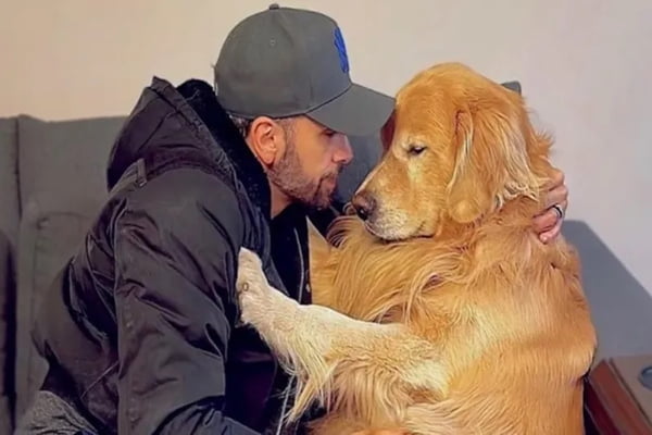 Cachorro Joca com seu tutor, João Fantazzini/foto: Reprodução/Instagram Cachorro Joca com seu tutor, João Fantazzini/foto: Reprodução/Instagram