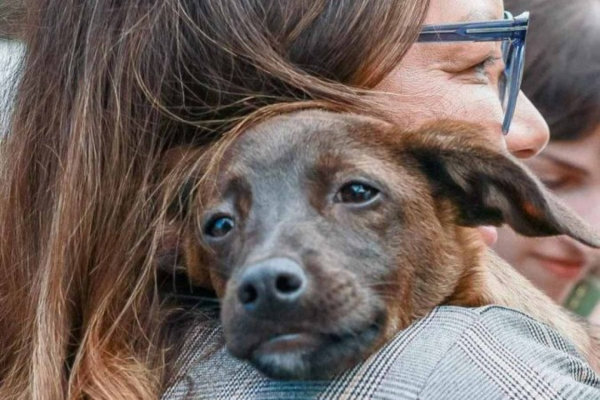Janja adota cachorrinha vira-lata resgatada em Canoas, cidade gaúcha também atingida pela enchente/Crédito: Cláudio Kbne Janja adota cachorrinha vira-lata resgatada em Canoas, cidade gaúcha também atingida pela enchente/Crédito: Cláudio Kbne