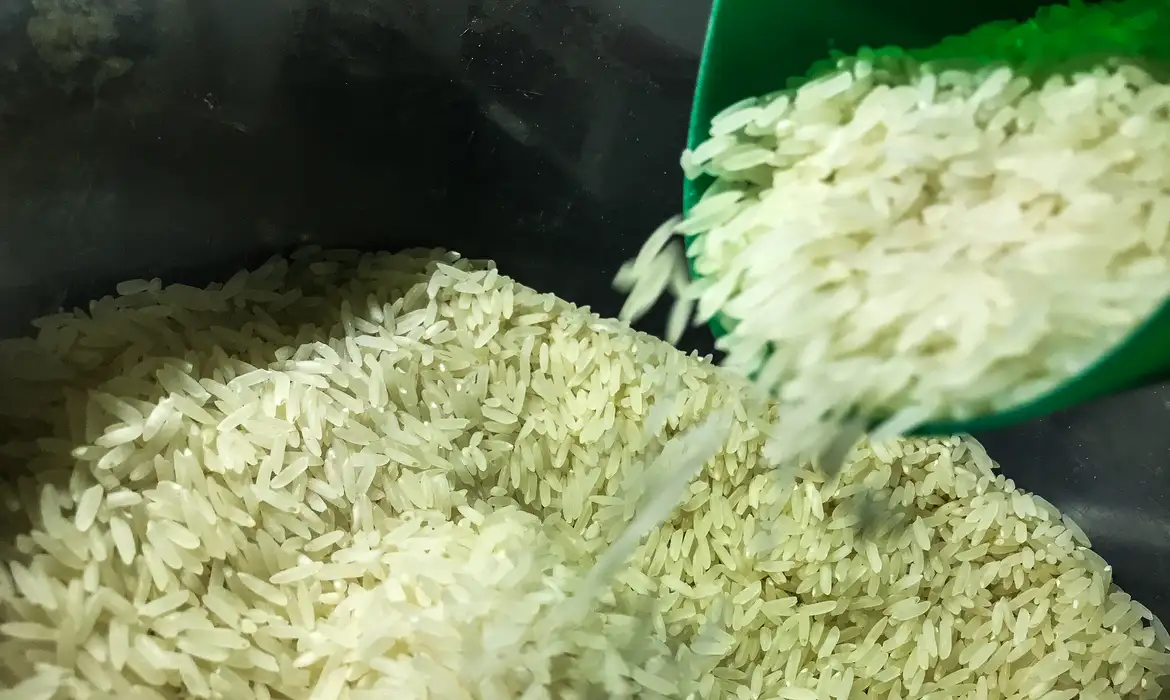Produção de arroz no Rio Grande do Sul tem previsão de perdas entre 800 mil e a um milhão de toneladas por causa das inundações/Foto: Marcello Casal Jr/Agência Brasil Produção de arroz no Rio Grande do Sul tem previsão de perdas entre 800 mil e a um milhão de toneladas por causa das inundações/Foto: Marcello Casal Jr/Agência Brasil