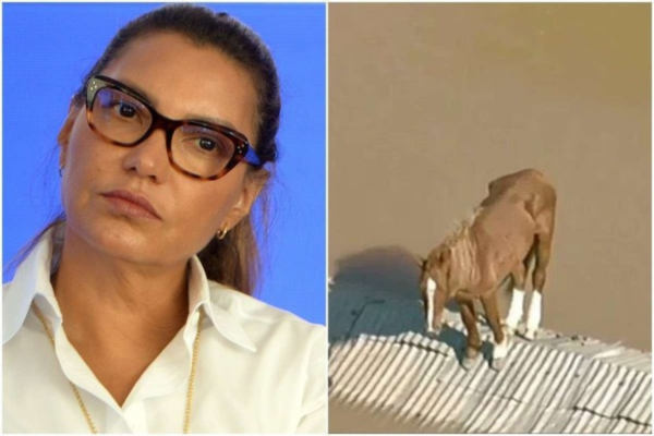 ''Os veterinários do Exército devem acompanhar. Vamos torcer para que o 'Caramelo' tenha resistido essa noite'', disse Janja/Crédito: Ed Alves/CB/DA.Press e Reprodução/Redes sociais ''Os veterinários do Exército devem acompanhar. Vamos torcer para que o 'Caramelo' tenha resistido essa noite'', disse Janja/Crédito: Ed Alves/CB/DA.Press e Reprodução/Redes sociais