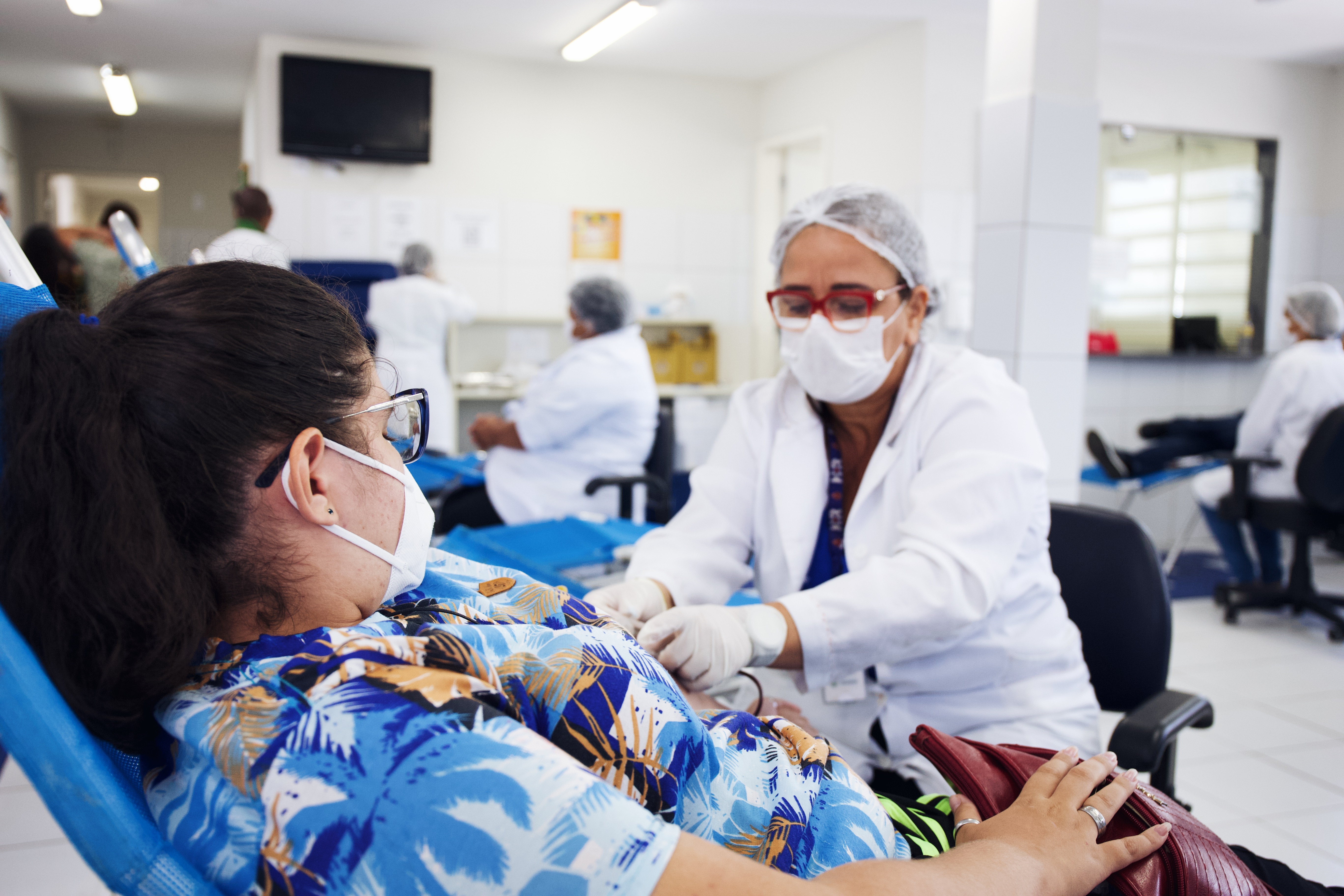 Coleta de sangue acontece no dia 14/Foto: Prefeitura do Recife