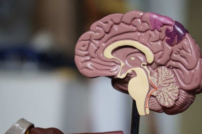 Quando adormecemos os neurônios inibitórios 'silenciam" os excitatórios, que nos mantêm acordados/foto: Robina Weermeijer/Unsplash Quando adormecemos os neurônios inibitórios 'silenciam" os excitatórios, que nos mantêm acordados/foto: Robina Weermeijer/Unsplash