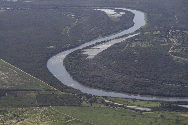 O Atlas mostrou diminuição do desmatamento em grande parte dos 17 estados da Mata Atlântica/Crédito: Thomas Bauer / SOS Mata Atlântica O Atlas mostrou diminuição do desmatamento em grande parte dos 17 estados da Mata Atlântica/Crédito: Thomas Bauer / SOS Mata Atlântica