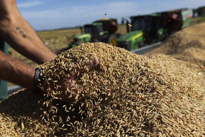 Enchentes no Rio Grande do Sul comprometeram produção agrícola, ameaçando o abastecimento de alimentos não apenas localmente, mas em todo o país - (crédito: Silvio AVILA / AFP)/ Enchentes no Rio Grande do Sul comprometeram produção agrícola, ameaçando o abastecimento de alimentos não apenas localmente, mas em todo o país - (crédito: Silvio AVILA / AFP)/