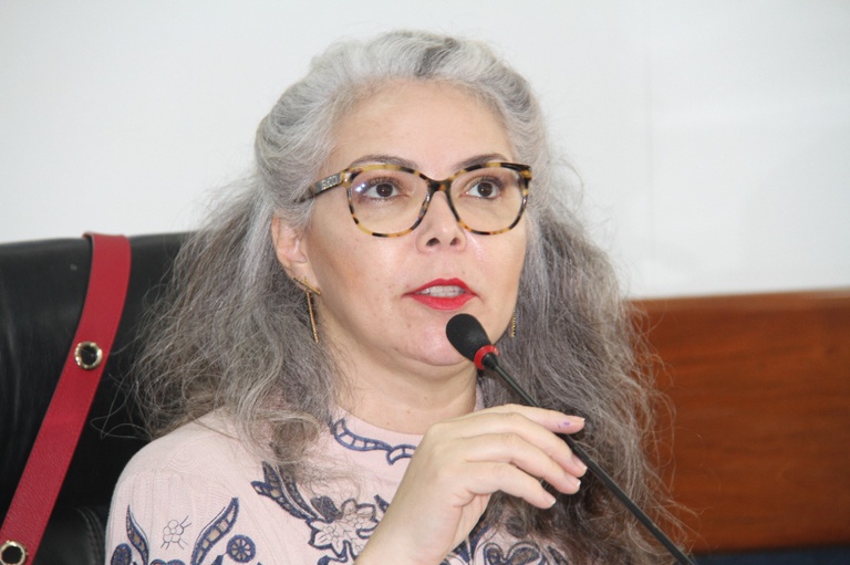 /Carlos Lima/Câmara Municipal do Recife