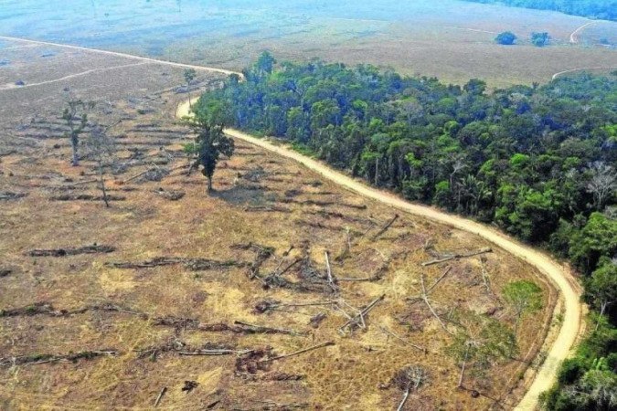 Nos últimos cinco anos, o Brasil perdeu cerca de 8,56 milhões de hectares de vegetação nativa