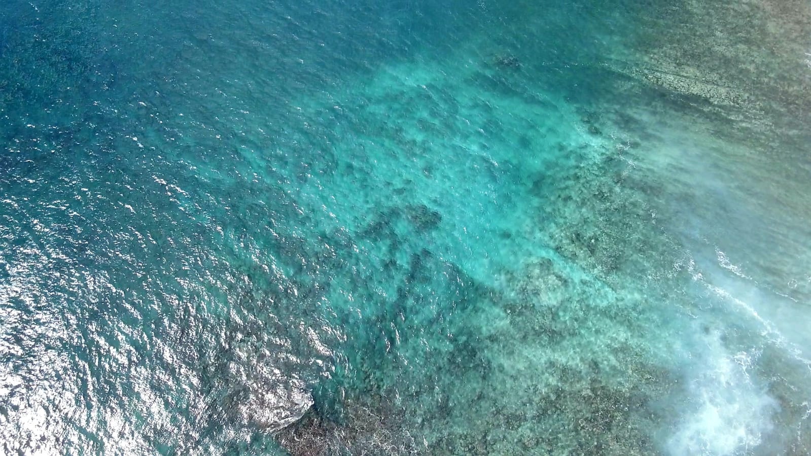 /Foto: Ilha da Trindade / Espírito Santo /Foto: Ilha da Trindade / Espírito Santo