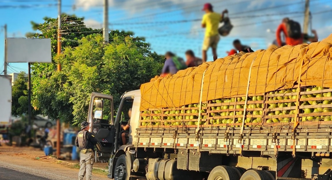 Trabalhadores estavam sobre lona que cobria carga em caminhão/Foto: PRF Trabalhadores estavam sobre lona que cobria carga em caminhão/Foto: PRF