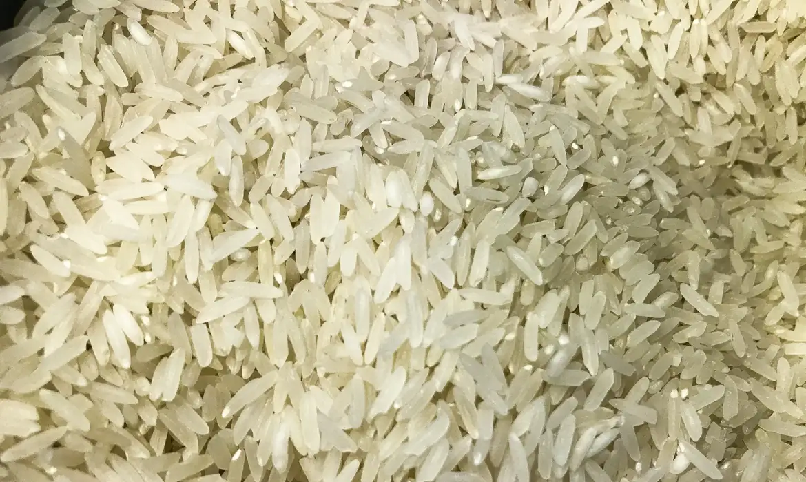 Previsão é que o produto chegue ao consumidor em setembro/foto: Marcello Casal JrAgência Brasil Previsão é que o produto chegue ao consumidor em setembro/foto: Marcello Casal JrAgência Brasil