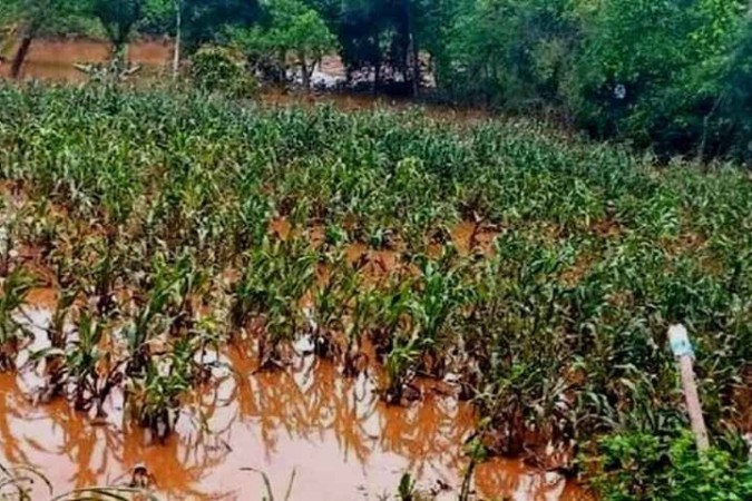 foto: Reprodução/Sou Agro