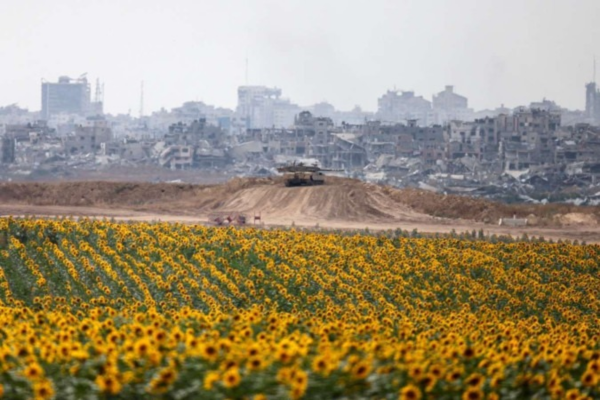 Tanque do Exército israelense se movimenta entre plantação de girassóis, no lado israelense da fronteira, e a devastação em Gaza/Crédito: Menahem Kahana/AFP Tanque do Exército israelense se movimenta entre plantação de girassóis, no lado israelense da fronteira, e a devastação em Gaza/Crédito: Menahem Kahana/AFP