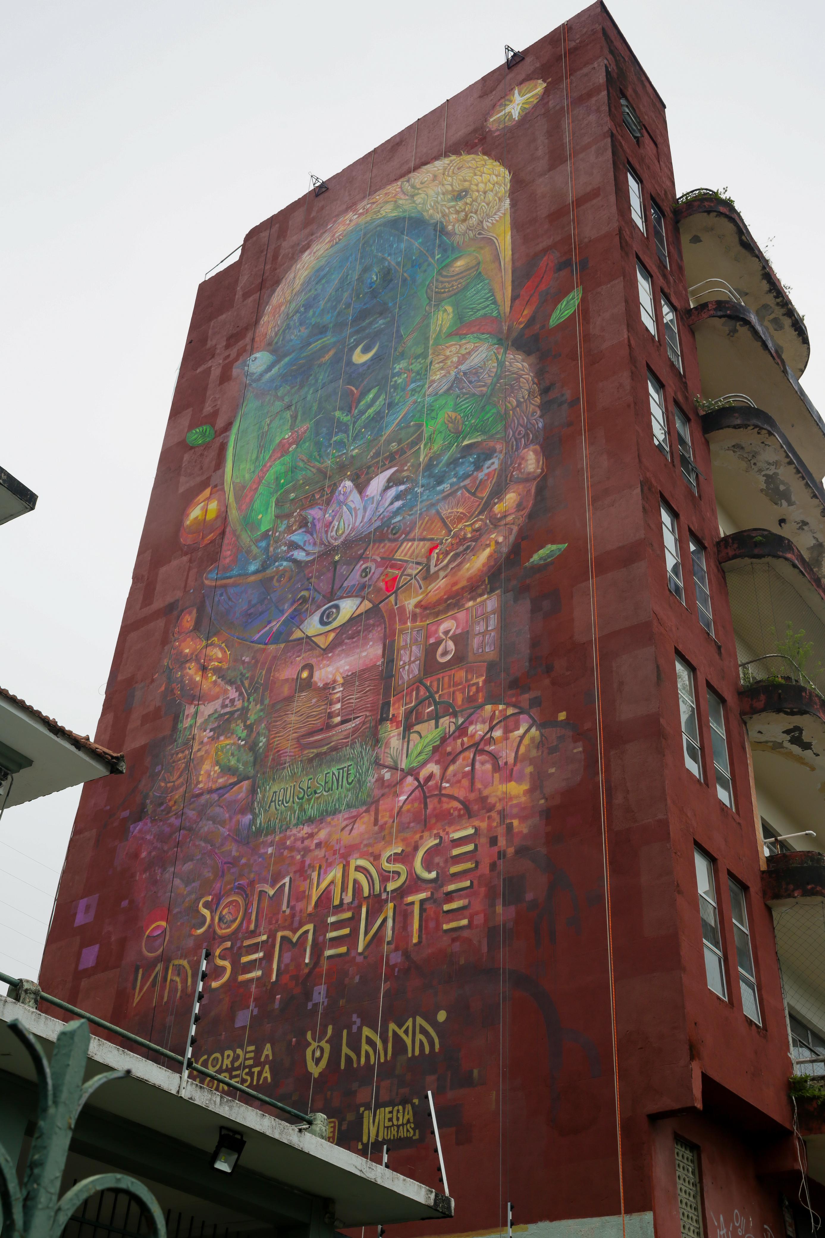 Mural foi pintado em prédio no Centro do Recife/Foto: Rafael Vieira/DP