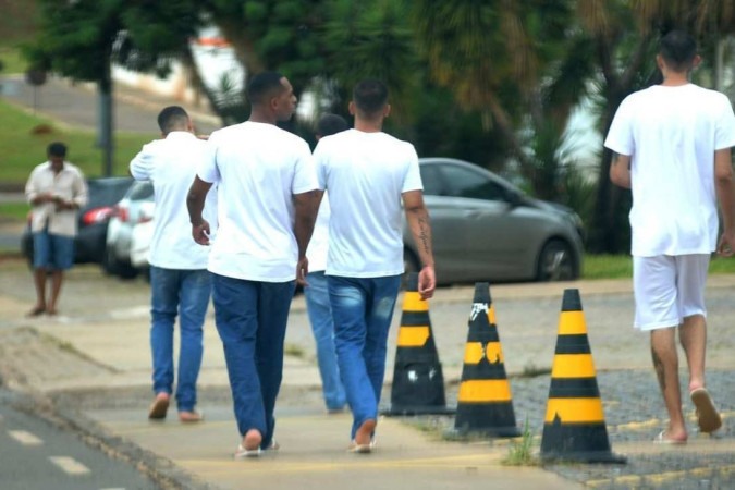 /(Foto: Divulgação) /(Foto: Divulgação)