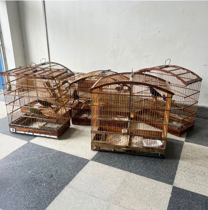 /Foto: Divulga&ccedil;&atilde;o/Cipoma
