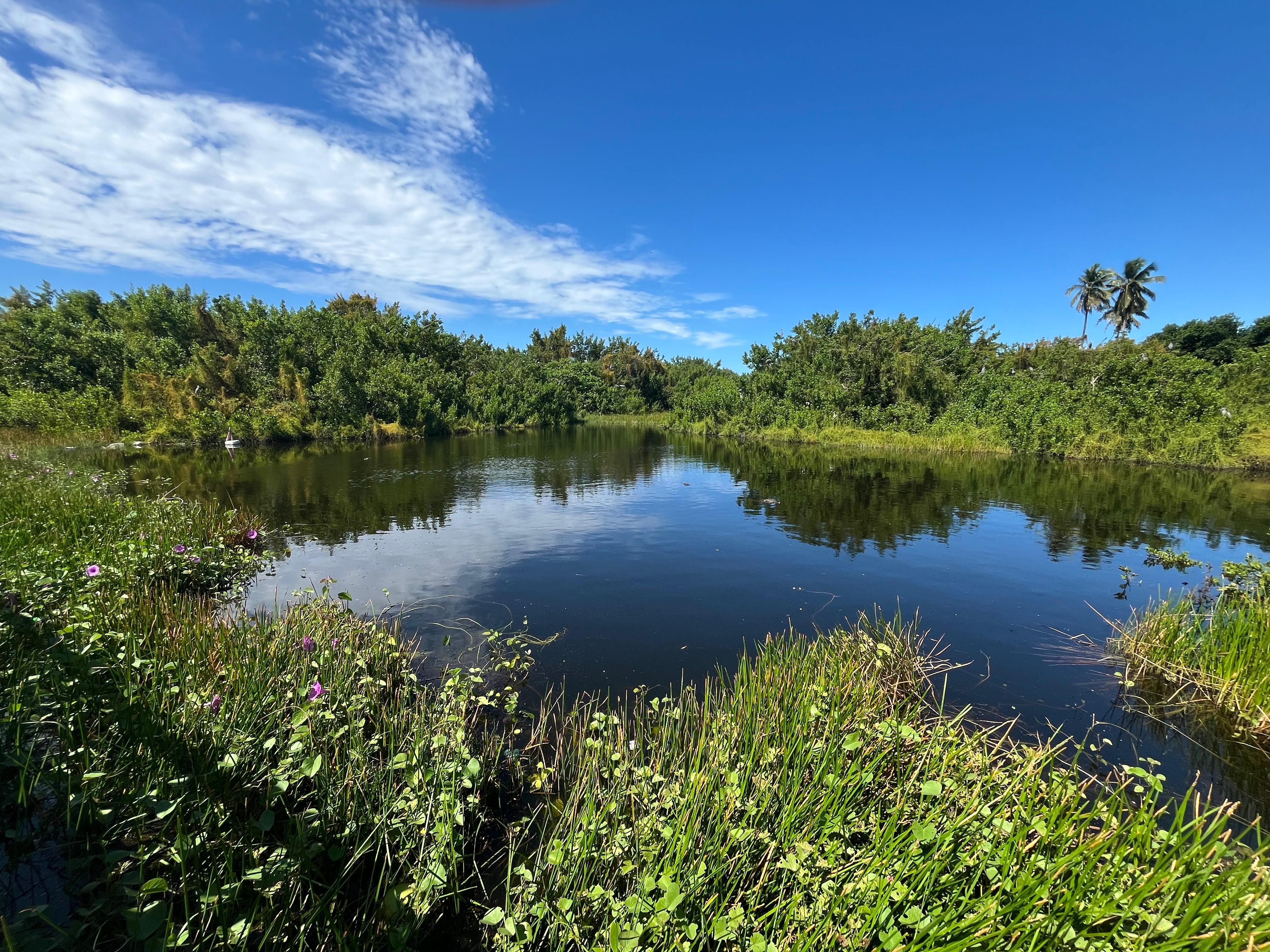 Lagoa do Jacaré, na Ilha do Sossego, em Itamaracá/Foto: Igor Alcoforado/DP Lagoa do Jacaré, na Ilha do Sossego, em Itamaracá/Foto: Igor Alcoforado/DP