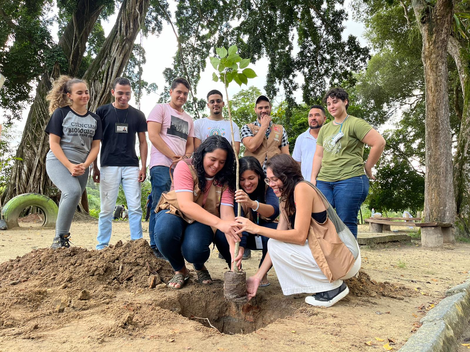 A promessa do Governo do Estado é plantar 4 milhões de mudas de árvore até 2026/Foto: Ingreti Santos/Divulgação A promessa do Governo do Estado é plantar 4 milhões de mudas de árvore até 2026/Foto: Ingreti Santos/Divulgação