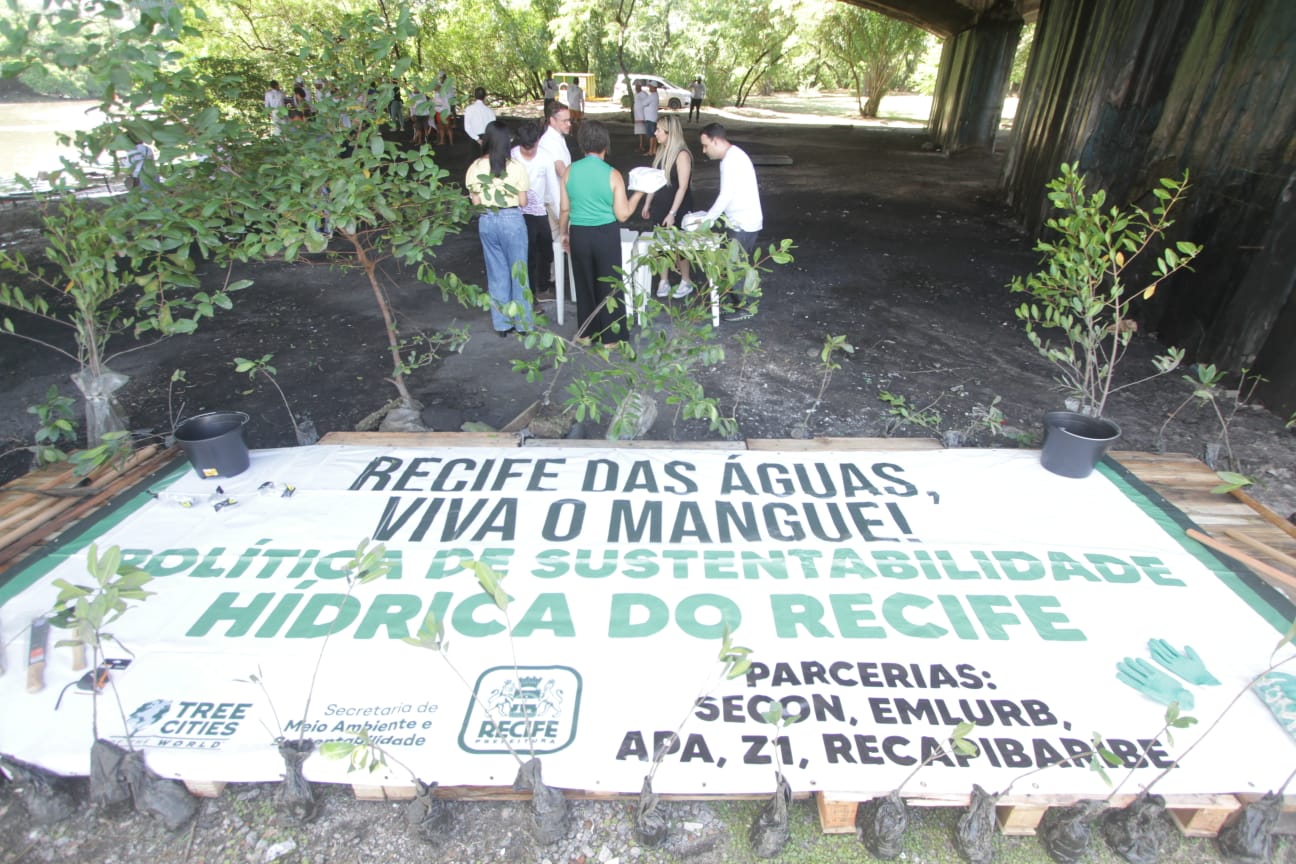 Projeto Viva o Mangue foi lançado no Recife/Foto: Priscilla Melo/DP