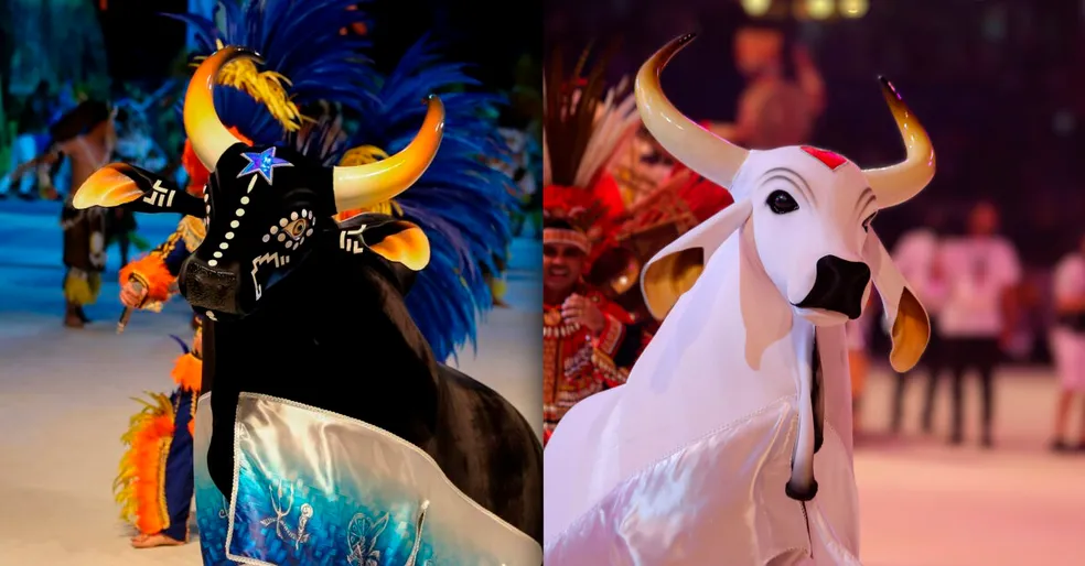Festival de Parintins tem como símbolos o Boi Caprichoso (à esquerda) e Boi Garantido (à direita)/foto: Divulgação Festival de Parintins tem como símbolos o Boi Caprichoso (à esquerda) e Boi Garantido (à direita)/foto: Divulgação