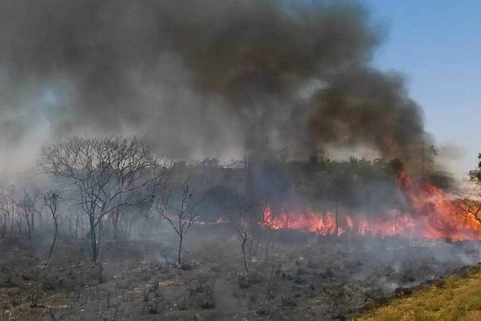 Mapeamento revela que a cada ano, uma média de 18,3 milhões de hectares, ou 2,2% do país, são afetados pelo fogo -/(Foto: José Cruz/Agência Brasil) Mapeamento revela que a cada ano, uma média de 18,3 milhões de hectares, ou 2,2% do país, são afetados pelo fogo -/(Foto: José Cruz/Agência Brasil)