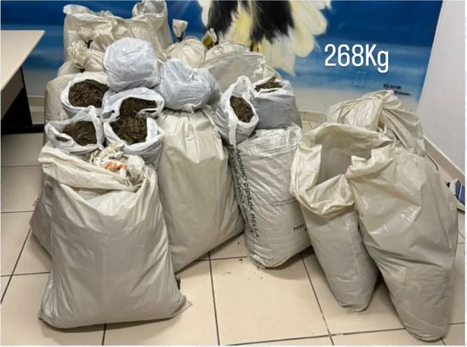 /Foto: Divulgação/PM /Foto: Divulgação/PM