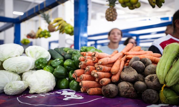 O novo pátio da feira da Mustardinha, que recebeu um investimento de R$ 2,5 milhões e dispõe de 34 bancadas, oito boxes e sete fiteiros/Foto: Rodolfo Loepert/Prefeitura do Recife