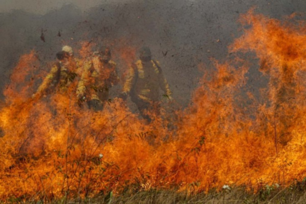 De acordo com o levantamento do Programa Queimadas, do Inpe, desde o começo do ano até junho foram registrados 978 focos de incêndio no Pantanal/Crédito: Joedson Alves/Agência Brasil